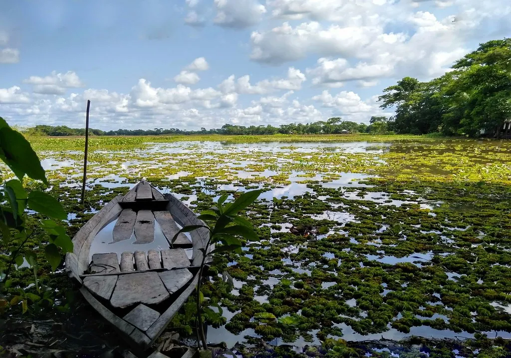 Wooden boat moored beside flooded fields in rural Bangladesh