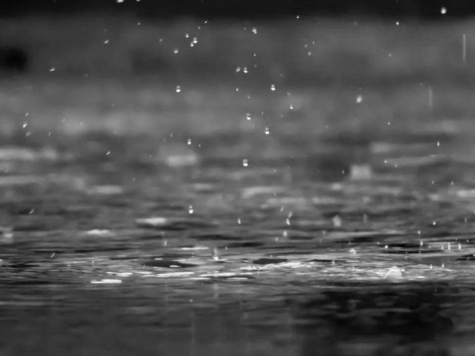Heavy raindrops striking the surface of standing water